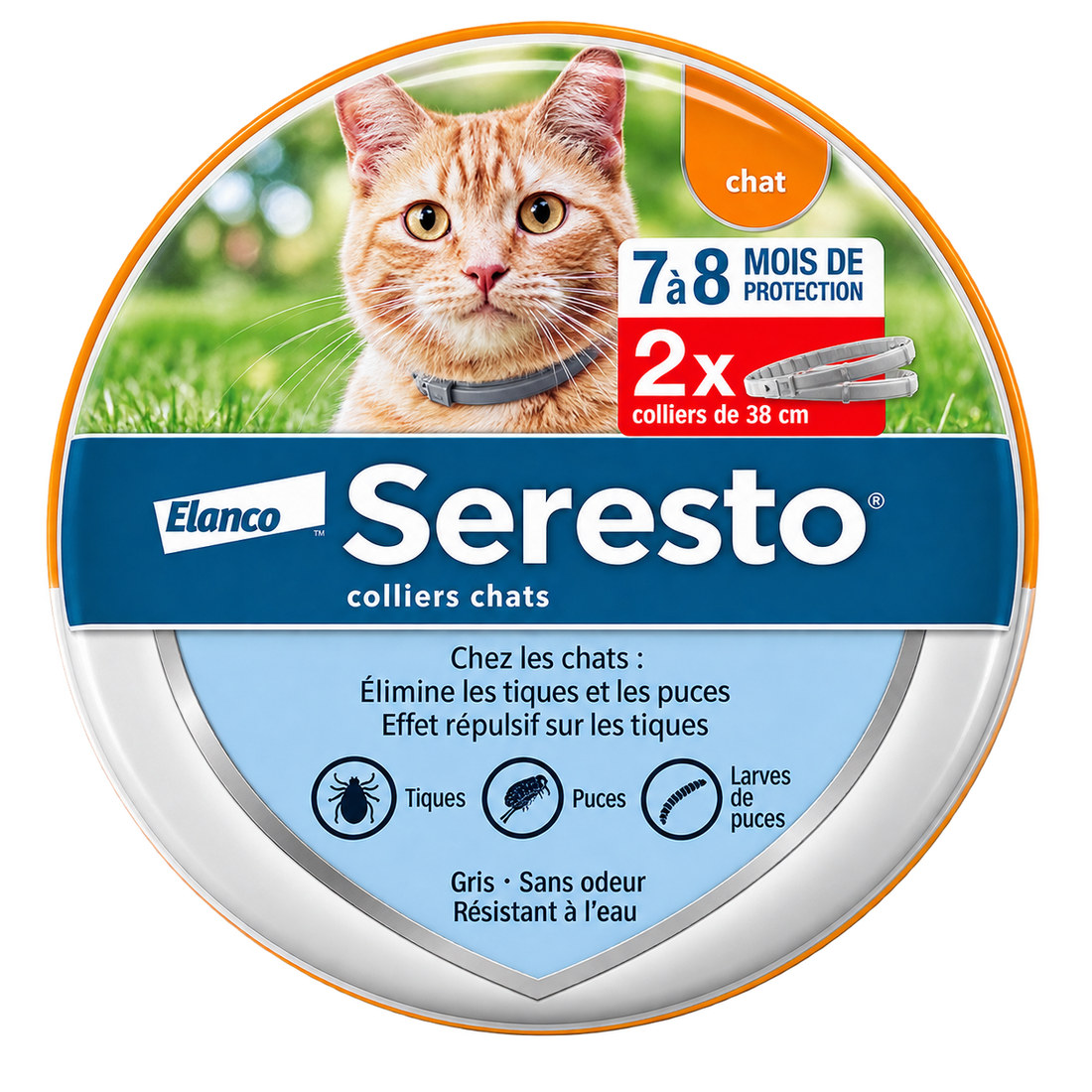 Chatear